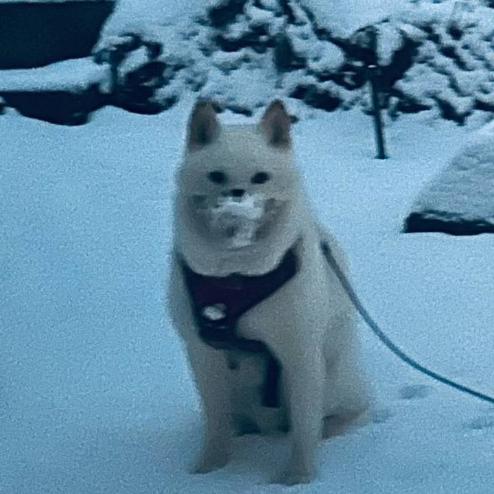 28ea92d4 44c8 46fe a9aa de50b6fd35b7 1764799244600