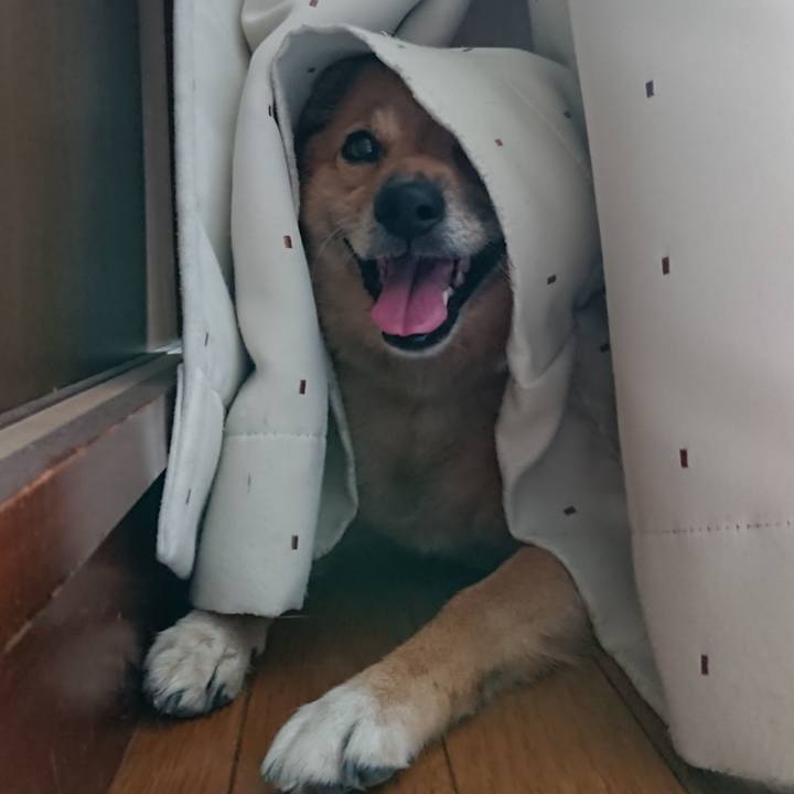 28ea9d72 9ad7 4a0d 8579 8ce369ceac15 1626944059902