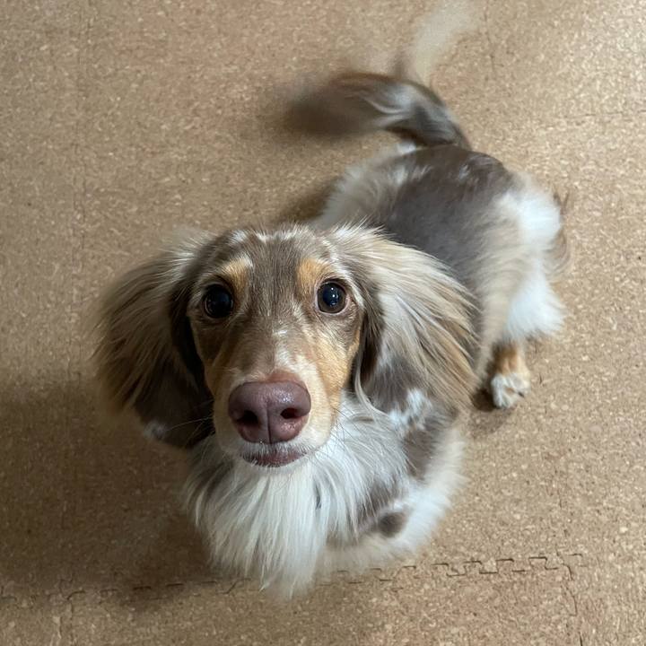 28eb1759 788f 460f bc44 1906ba16f71b 1762685927017