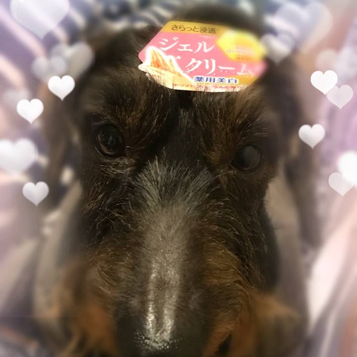 28eb1dc4 46da 4e9e bfe7 a4224dfd00ca 1512229559998