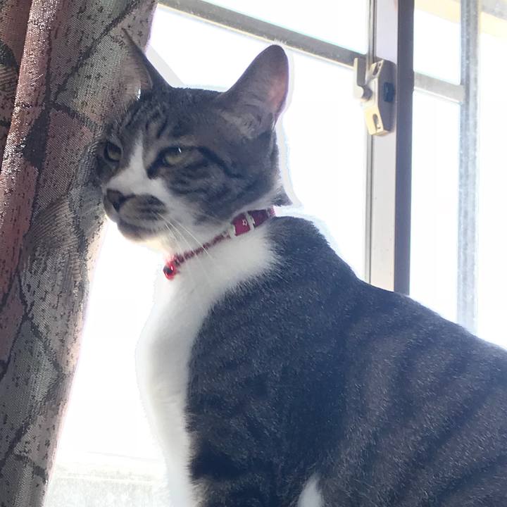 28eb38a1 e021 449e 829b 4036a931c6ef 1524133468554