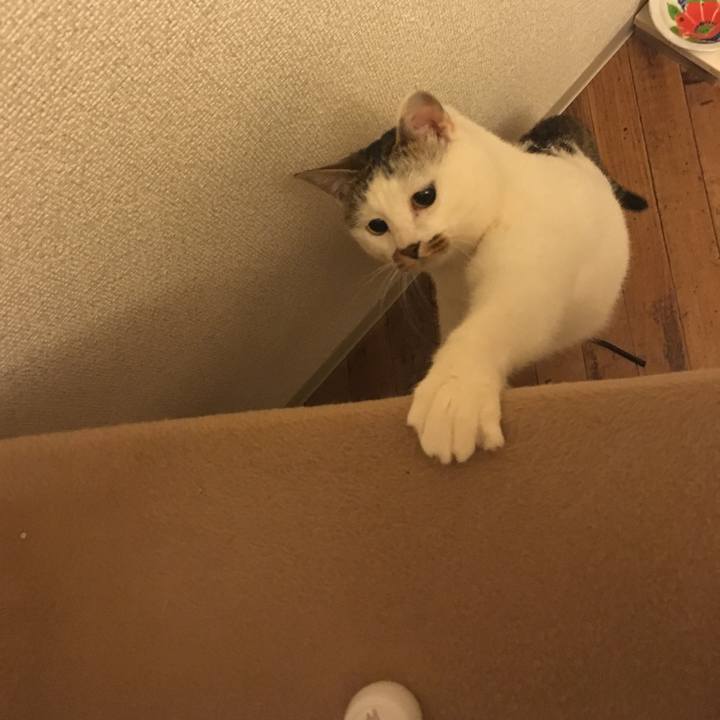 28eb3b6b 48ae 4631 9e13 09e62d70a452 1517621021125