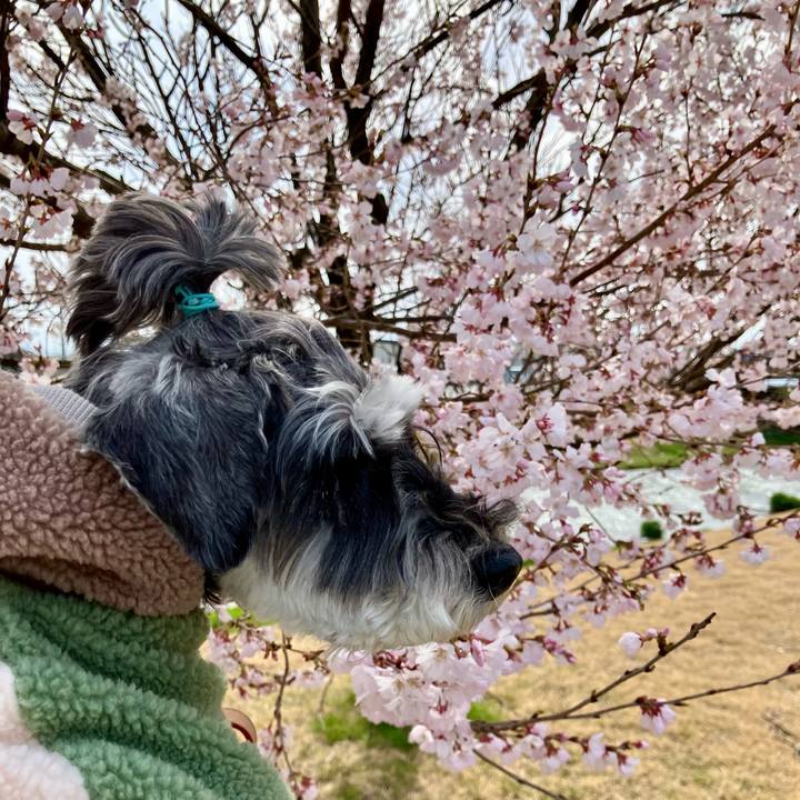 28eb6895 73b2 48f7 8913 b208e93e6d7f 1743344987900