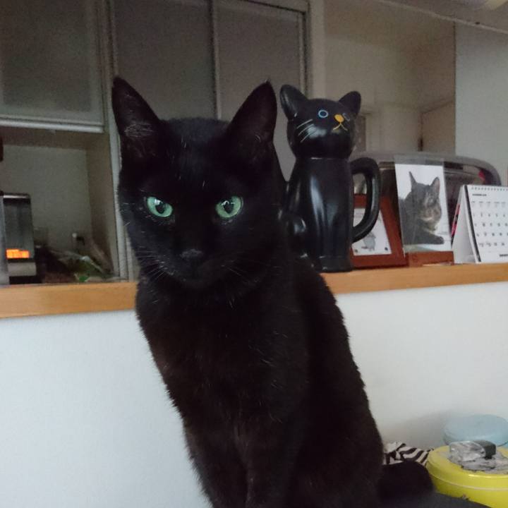 28eb6951 bba2 43ab b10c 416565b47e3b 1543908706892