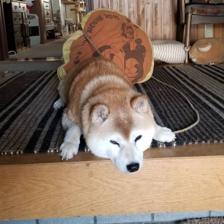 28ebdb4a edcb 455b 8599 c3c28afdfbef 1718578341155