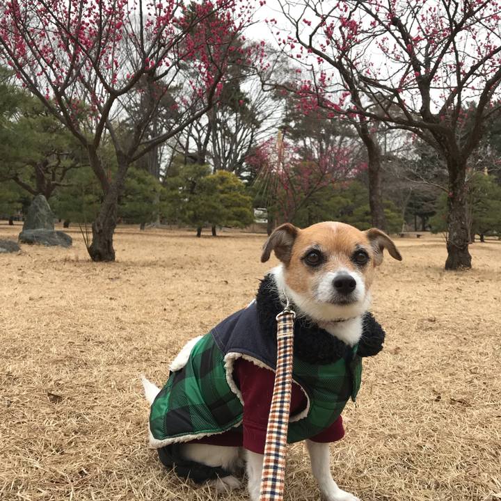 28ebe762 69ec 46e0 a7a3 c292eb48b777 1550540167161