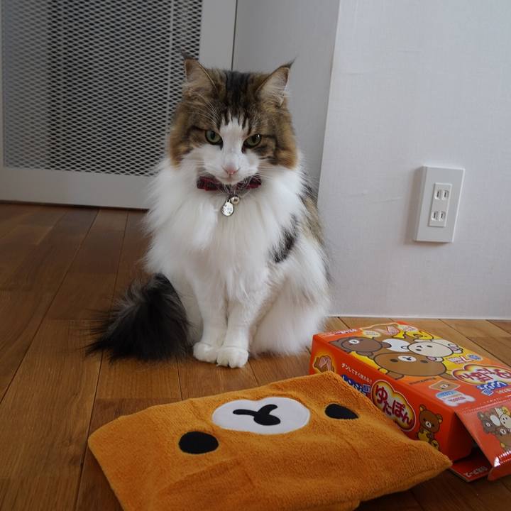 28ebf449 b1ec 420a a4cd 2618aac93e20 1613095920942