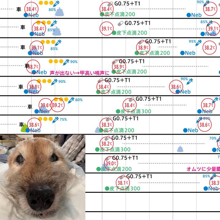 28ebf67d 4a62 4647 b284 5444999bba21 1754126555932