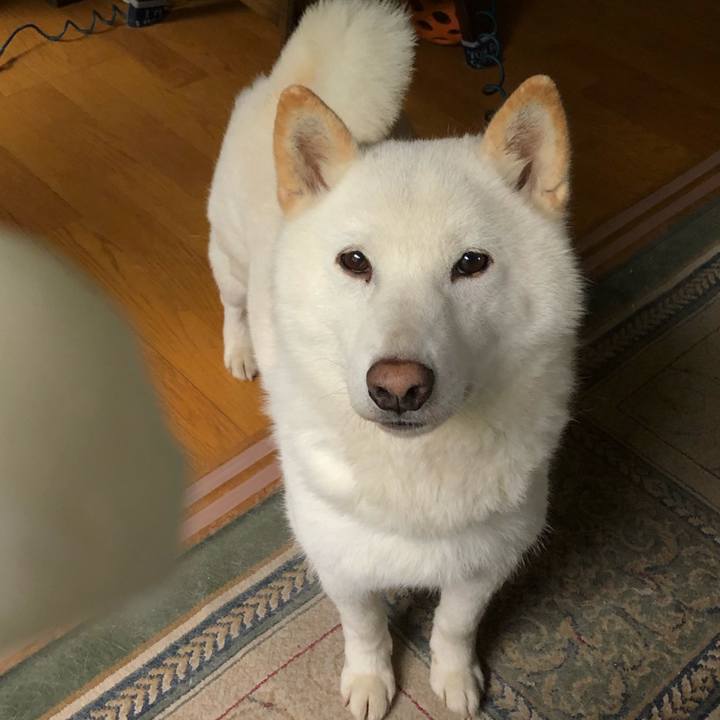 28ec0940 ac85 4b56 b2a5 b3a89ca15aa2 1592029322842