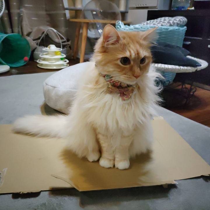 28ec514a 6c35 4cac 81db 56f9ff39d971 1713878738776