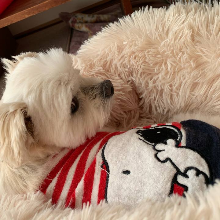 28ec60bd a714 4745 9b1f 02e6d733b48d 1639115410549