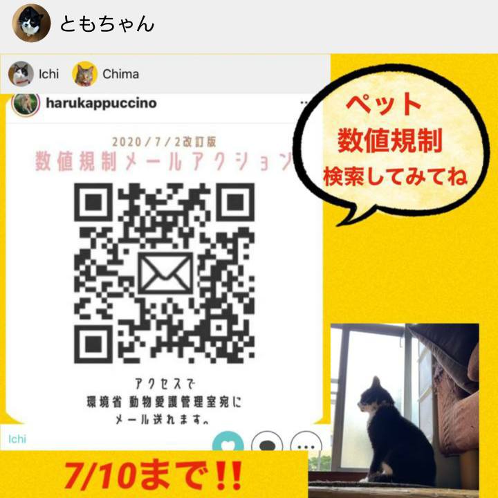 28eca848 4632 46a3 b2d4 dbdd27f3e7ca 1594207887117