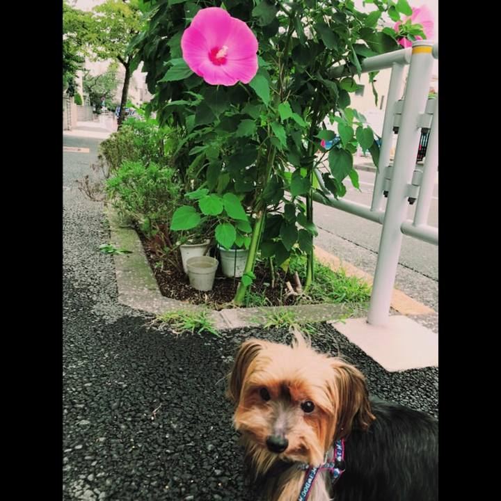 28ece01b dc0b 40ca 88b0 f3437db2511f 1536900210959