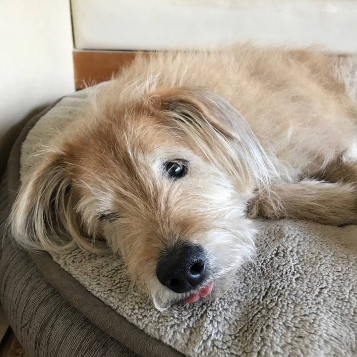 28ece341 2ffd 48b8 9652 9f89fe48ebaa 1614612728357