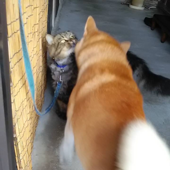 28ecf731 0df1 46d8 a9ef cc6749273010 1631231067032