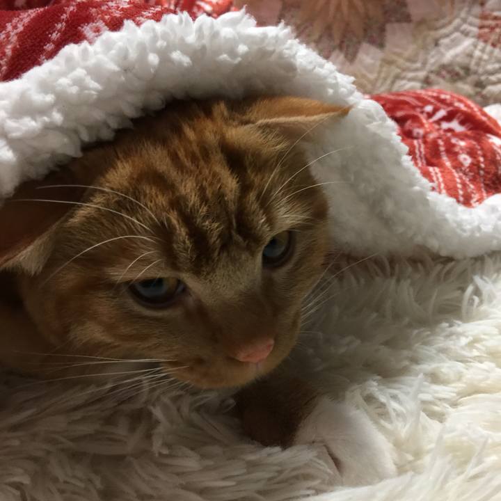 28ed2363 091c 4f13 80f9 808e919cb210 1517357480460