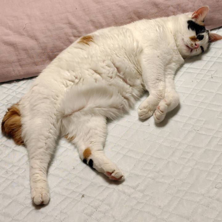 28ed341c 5d7d 4461 adb0 3cf772e49e33 1721137946343