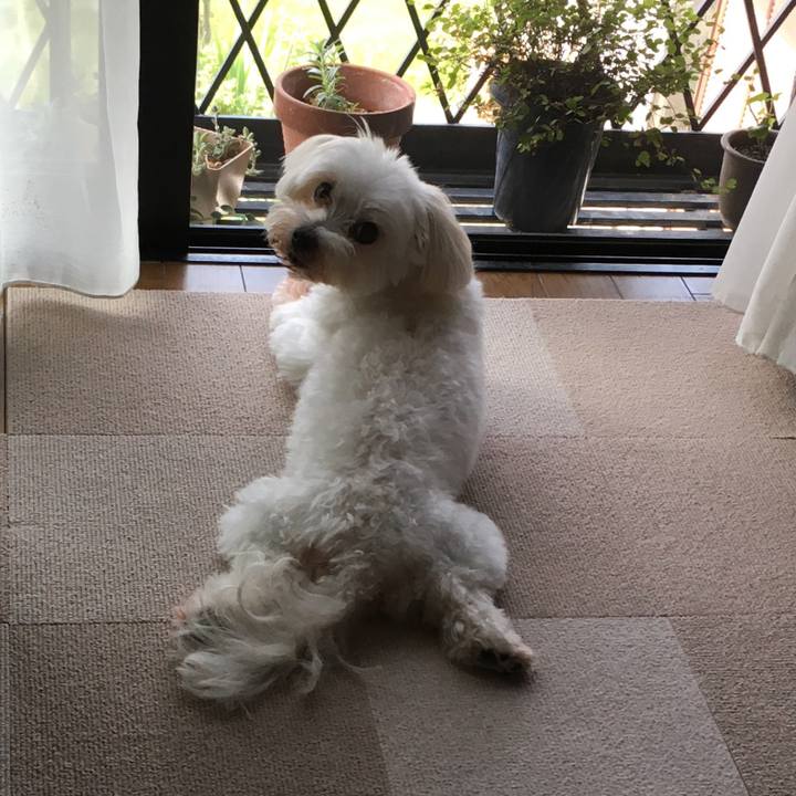 28ed7560 d0d7 41f1 8c93 c6ca48fb7259 1626090386267