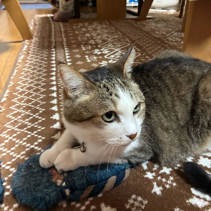 28ed9fc1 d264 4b92 b379 590c39e739ad 1748788865808