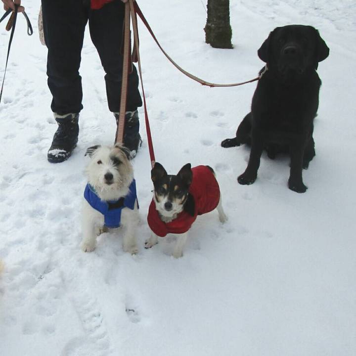 28edacee 6dbb 4d58 ac92 2cdbef71ac5f 1549860372329