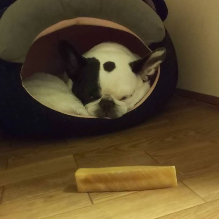 28edb7e5 676d 426b 988a 2b52217787e3 1660918108152