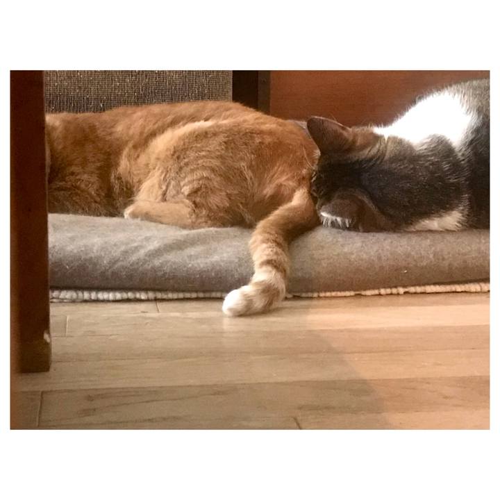 28edc20e aabf 4ada b099 9ce5c0540dc2 1651391160393