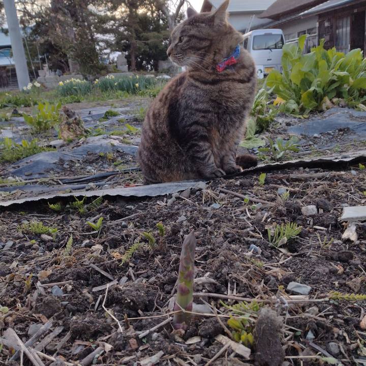 28edc77c 10ea 432f 9e71 ab59024a5fc6 1681636239967