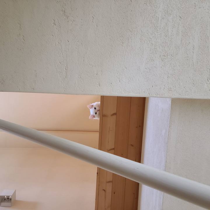 28edfa7a 1e39 4e20 a702 92909b4eaddd 1655866845044