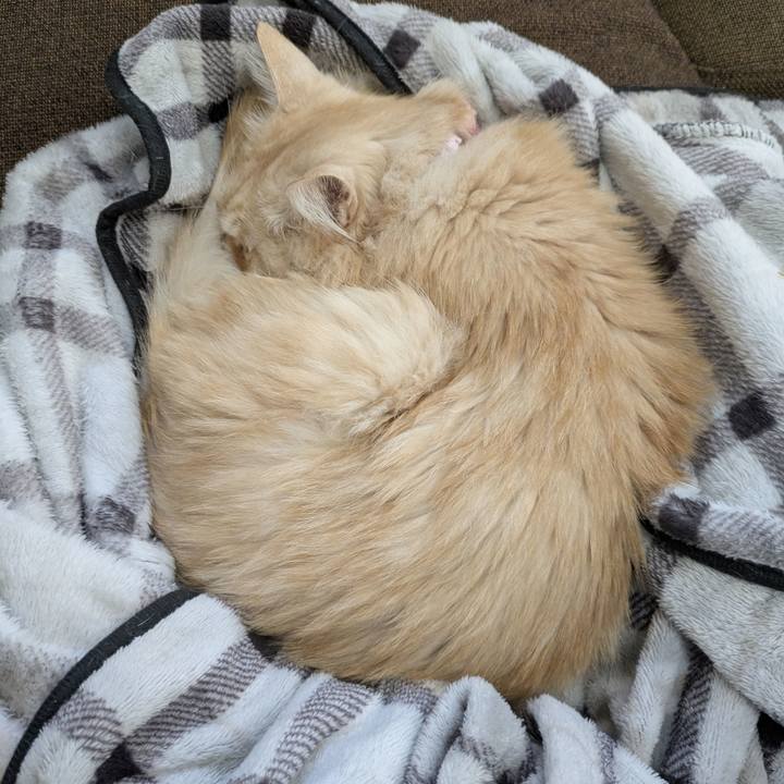 28ee0ce7 fdce 42ba 945f e73153a43145 1764141660690