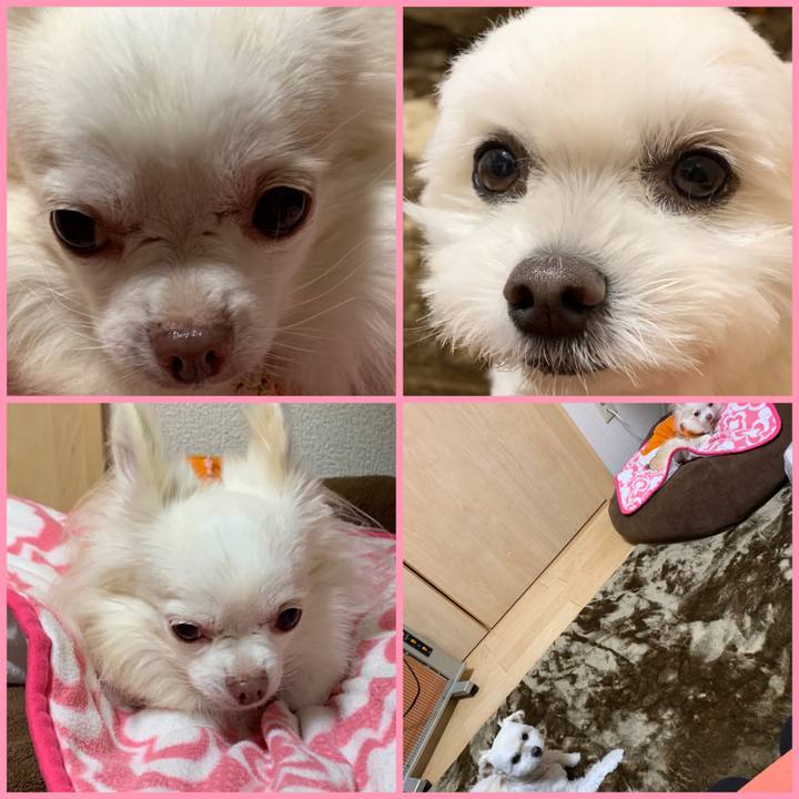 28ee1a55 39f0 4fec b9e3 1f8eb613ef91 1637407285217