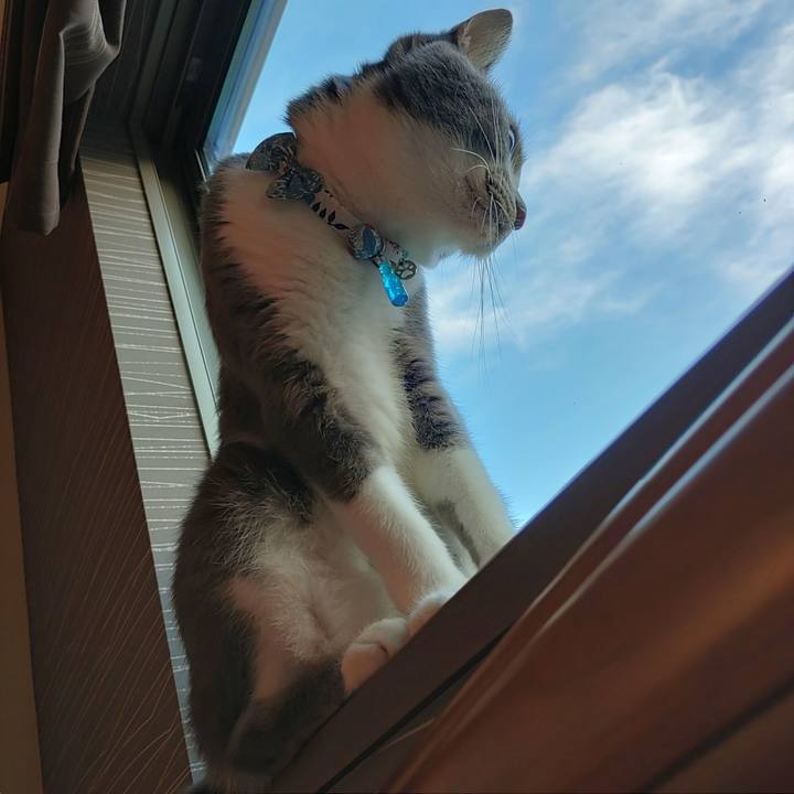 28ee7667 9128 49fd 8ae1 898b80adfb7d 1664841208467