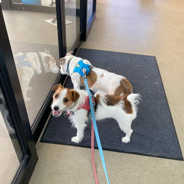 28ee9768 91c7 4648 8c1e 7091d86c2eb9 1723950023067