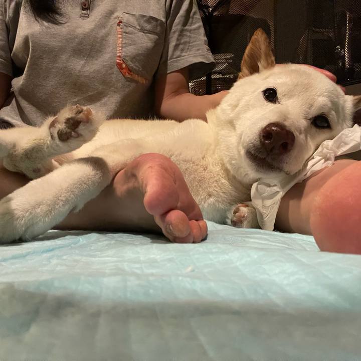 28ee992b 629f 4424 b8df 8a7e32b28798 1685141431567