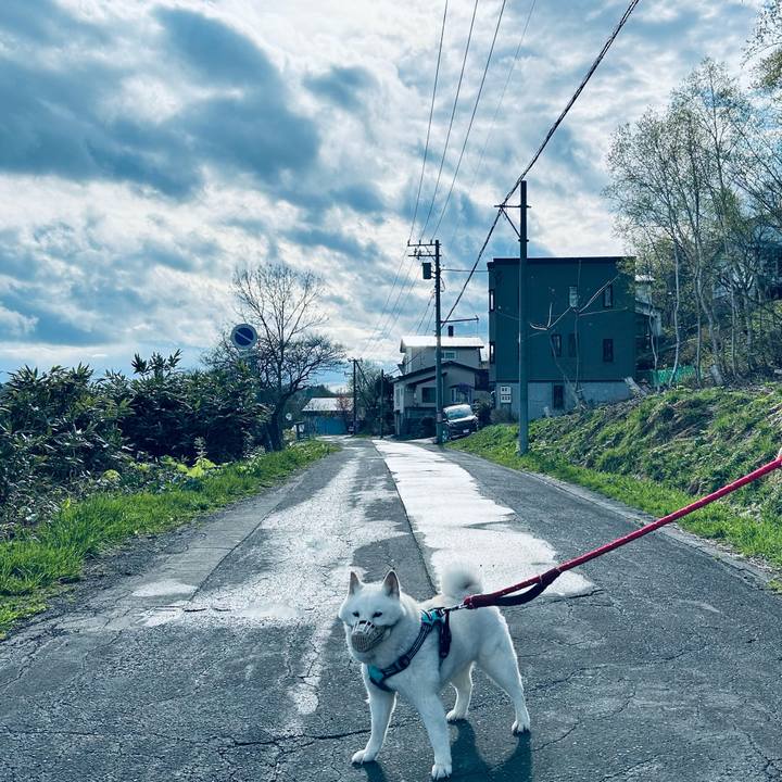 28ef0974 6ac0 45cd bee3 61dab1f1f688 1746224459905