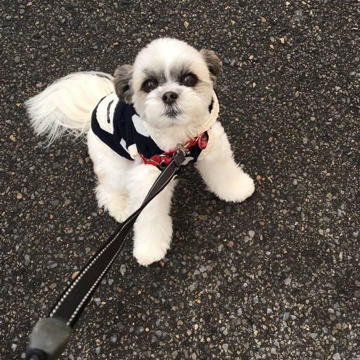 28ef10bd f2fb 4bbf 8fd2 5b5ab20a4f3f 1515558508708