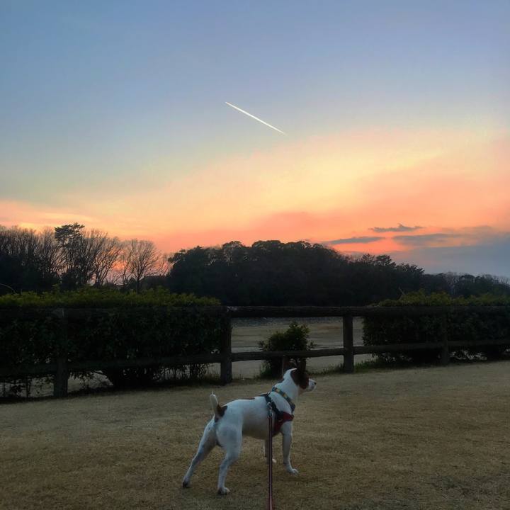 28ef4b1c a190 4fad 872a 60f5fef87e47 1520164894701