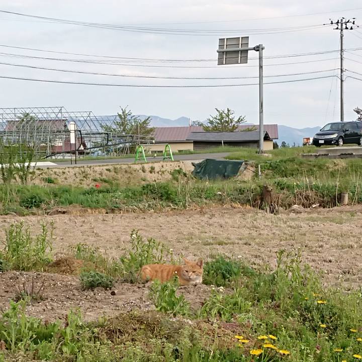 28ef64a8 959a 4bba b1c1 effbaaa3eda1 1588579272580