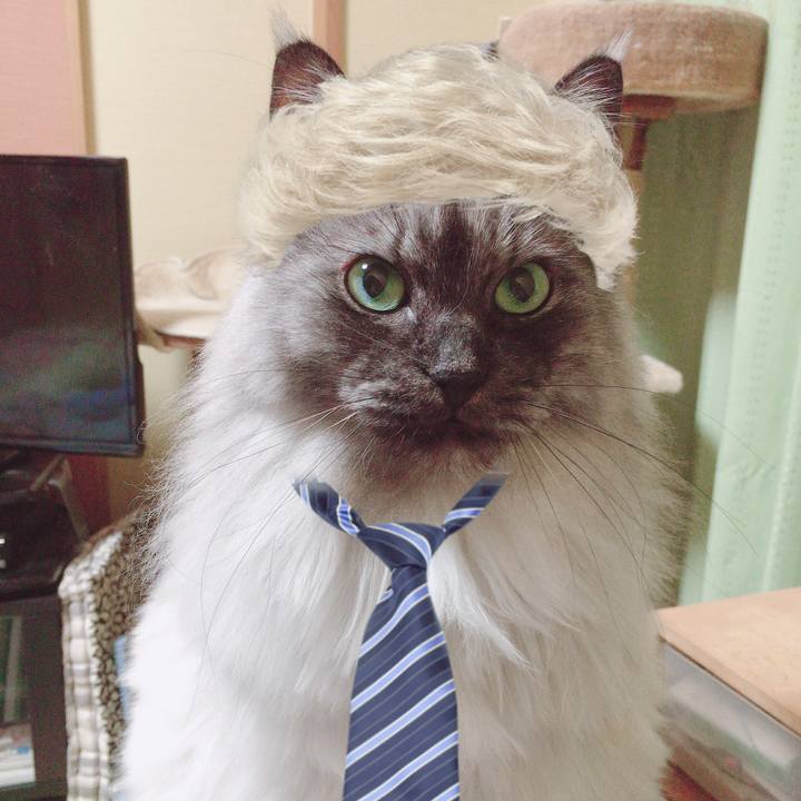 28ef76fb 7ff0 4150 9d4b 362371f65268 1548294109578