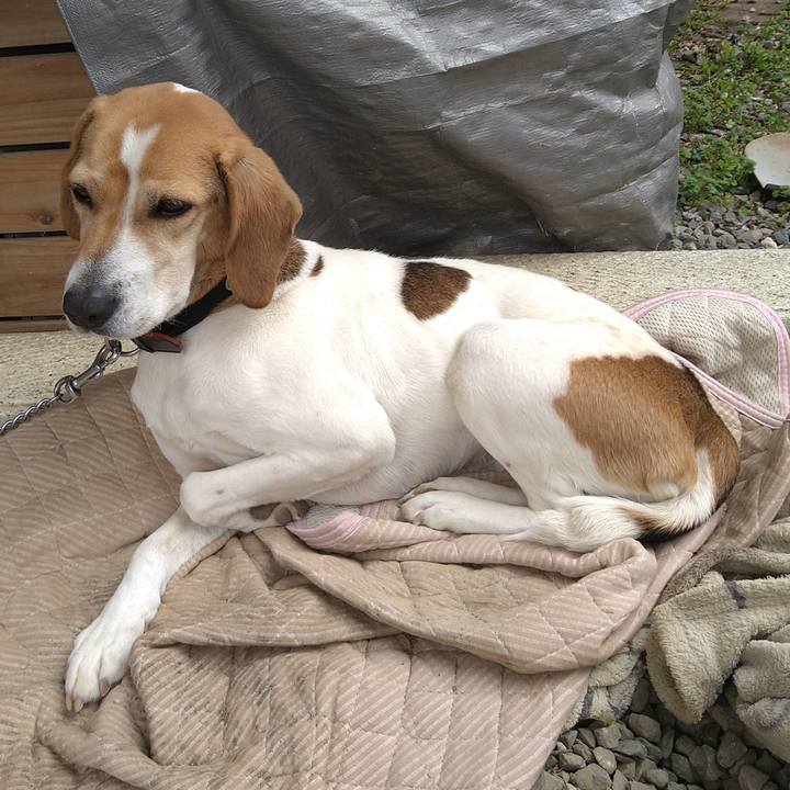 28ef8124 e473 4f9f af28 cc63dbc6ef4c 1648014905443