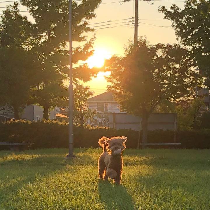 28ef9027 eead 4c9d b569 1cbd7076e1d1 1569878638602