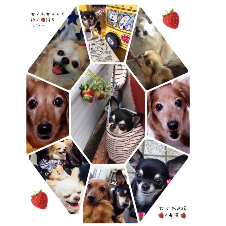 28efe4c5 92e5 4fe8 96d2 dedca94dfbd4 1539695755776