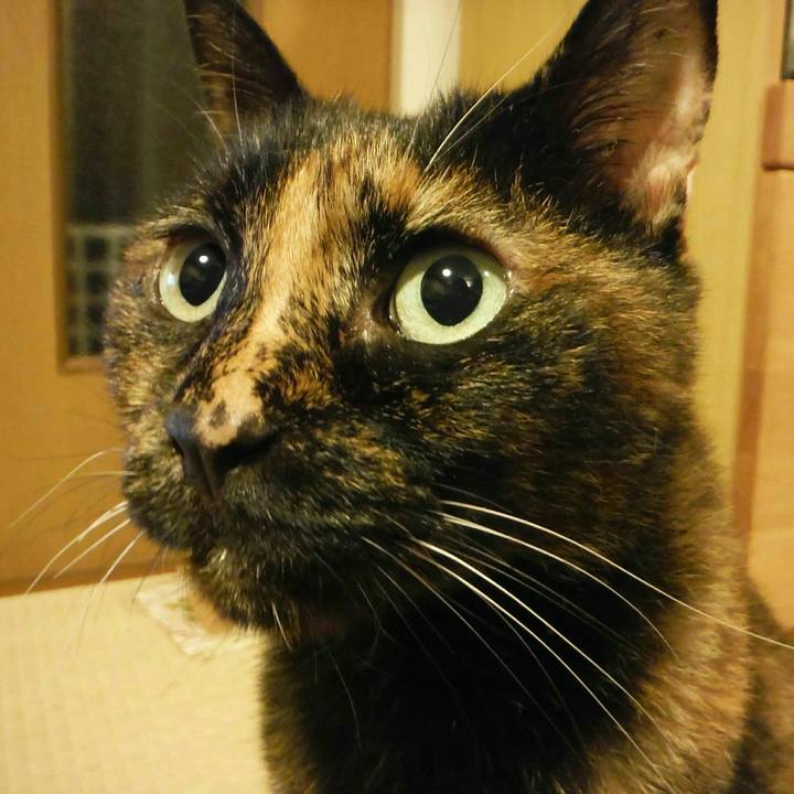 28effa41 6568 4548 a2a6 f6966e1145e1 1537491859138