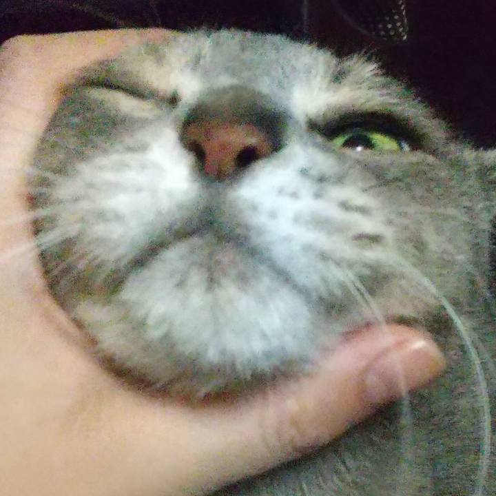 28f02452 4c64 42bd 9d18 64fc760e46de 1675954733018