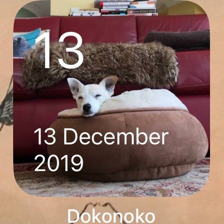 28f035ad d6c2 4b0b b420 1f5e72c6d135 1765594806372