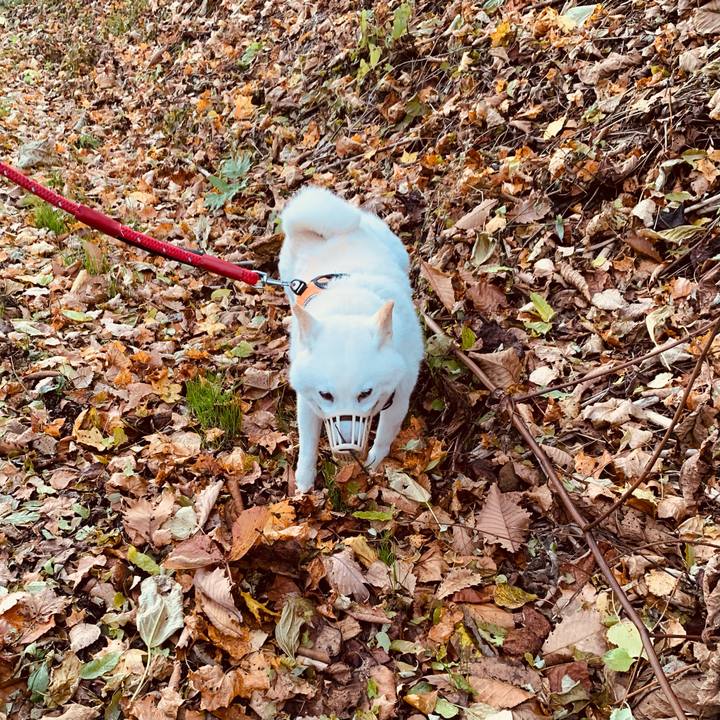 28f03757 7905 4a54 8f1f 37a121ca2ee0 1668032579486