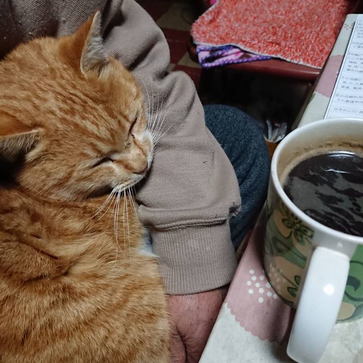 28f044a9 3020 4174 9adf 42733733088f 1580327958352