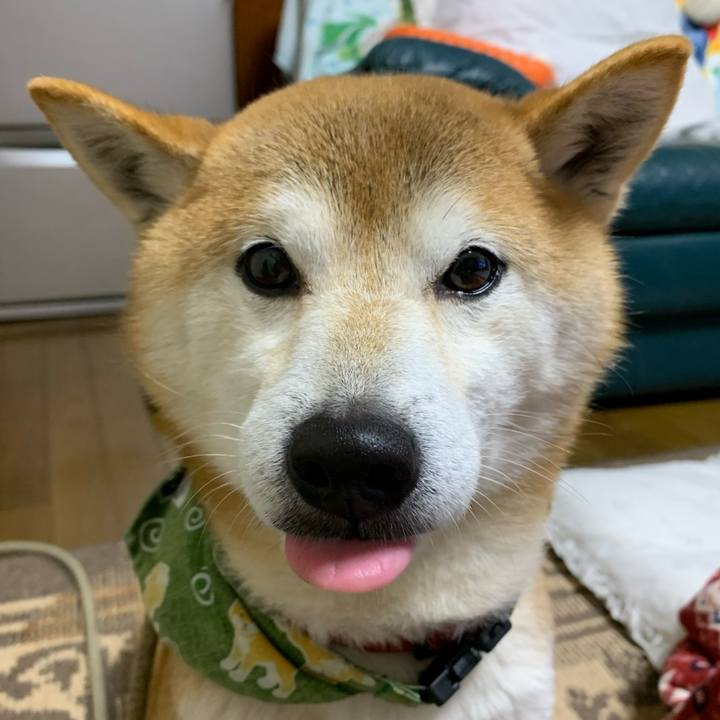 28f0a312 d63d 4566 804d d5fc45441ba2 1612405152573