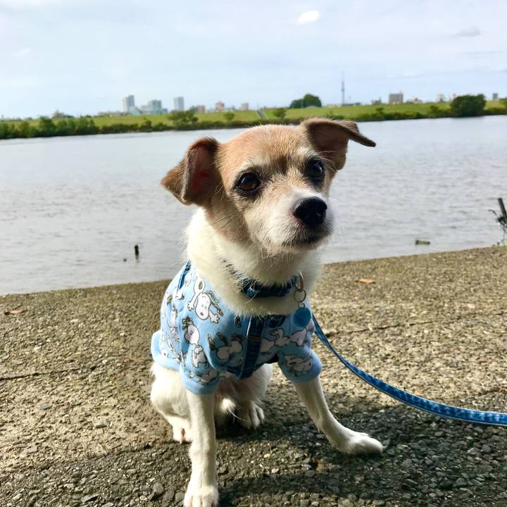 28f0ae8e 0706 4cab a827 428c7ca9a174 1665288308869