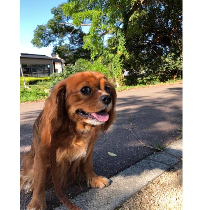 28f10dfd 5d5b 413c 8157 c416652bffcc 1600523907486