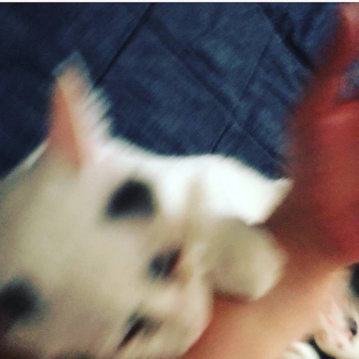 28f1468f 49a0 491e 8582 aab099878c1d 1524168353839